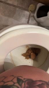 Lust in Travel Toilet Compilation JOI