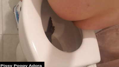 Peeing and Very Long Poops