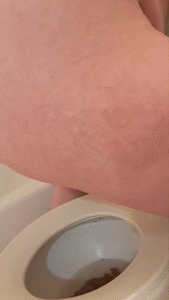 Reverse Cowgirl: Toilet Edition