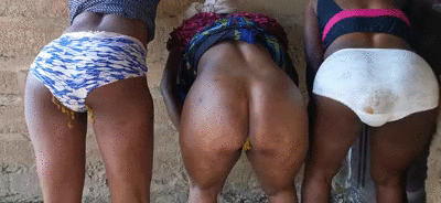 3 bitches poop outdoor