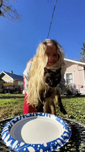 Dropping a Log by a Log