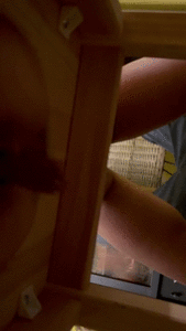 My new toilet slave - shit on clown