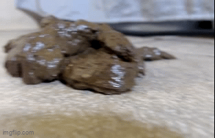 Wet Soft Plops Food Share