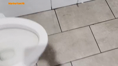 Shitting at Jamaican Party