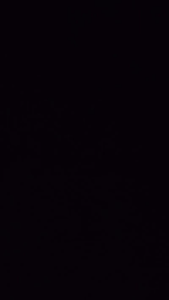 AUDIO ONLY: Cow Pie Maddness