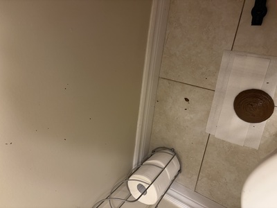 Holiday baking means liquid shits