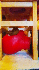 Merry christmas lucky slave