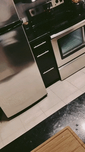 Fun Aunt: Leverage Gone Wrong