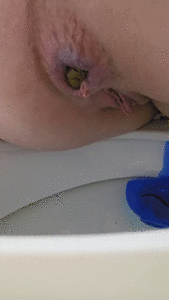 Toilet Poop