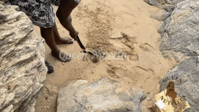 Queen Nutella : Almost Got Caught Pooping