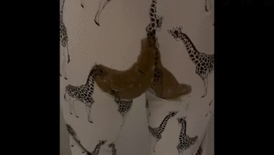 Laxative poos in pyjamas
