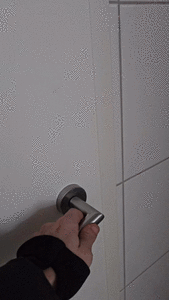 Big turd on the restaurant