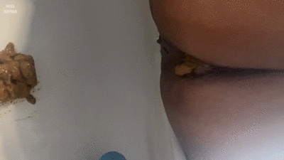 Privileged View from Inside the Toilet