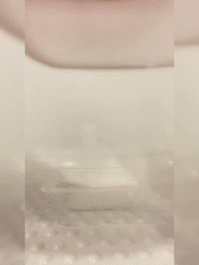 Shit not into toilet bowl