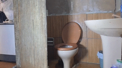 golden shower morning