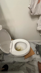 Lust in Toilet JOI Quicke