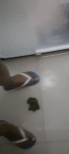 Look, I want to show you something.