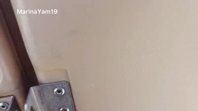 Shitting at a porta potty