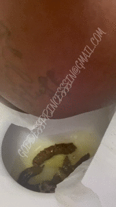 SHITTING ALOT AND SNOWED IN