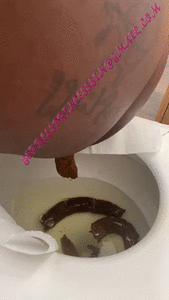 JERK YOUR DICK TO MY SHIT AND FARTS