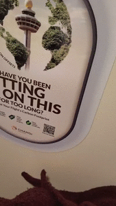 Travel Toilet Diary: Asia