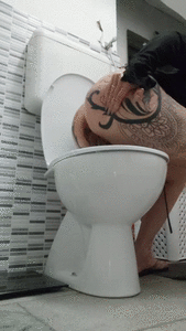 A shit in the toilet in my dungeon