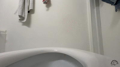 Filthy Toilet Poop Real Creamy Mess