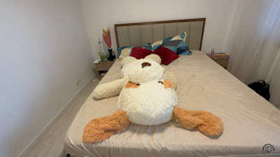 Teddy Bear Face Farts: Humiliation & Gas