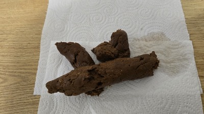 Scat 536