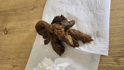 Scat 538
