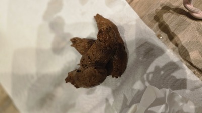 Scat 540