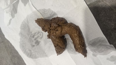 Scat 541