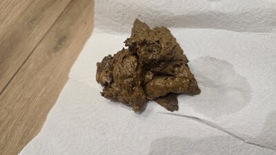 Scat 542