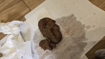 Scat 546