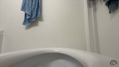 Creamy Toilet Dump Nasty Plops