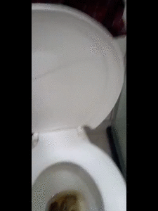 Cleaning Myself After Pooping