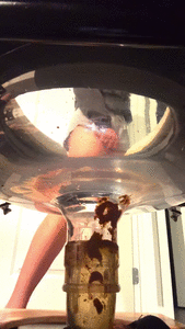 10 shits in my human toilet