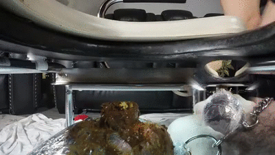 My shithole for the night