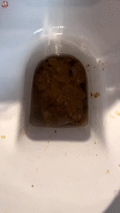 Stinky load on the bus station