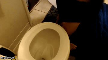 Hard Poop Pellets On the Toilet