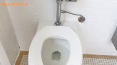 Shit at a court house