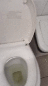 I pooped in the street toilet.