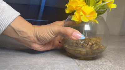 Scatological decoration