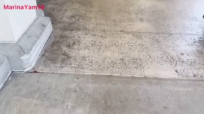 Someone tried to open the door