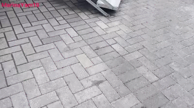 Shit collection in pull