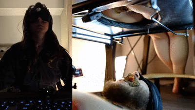 The Office Ceres - Direct