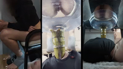 Daily Funnel Use - The Plug