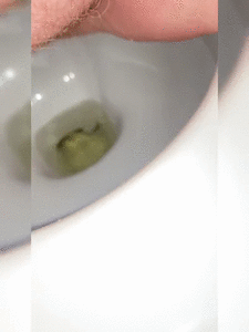 Morning poop with flash