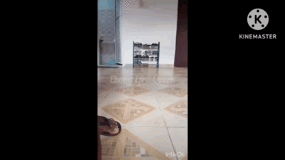 Ebony Queen takes a dump on all fours