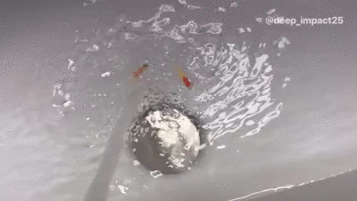 Tinies at the waterpark
